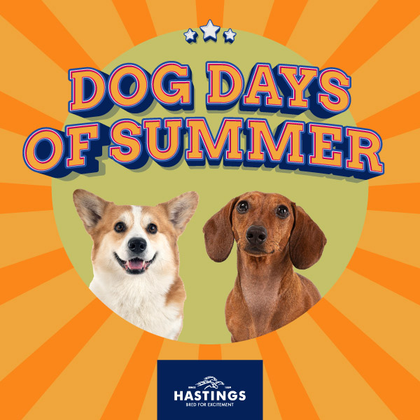 Dog Days of Summer — Corgi Races